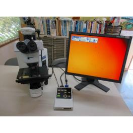 顕微鏡/オリンパス/BX51/TM-114 | 中古機械在庫 | 中古機械買取・販売